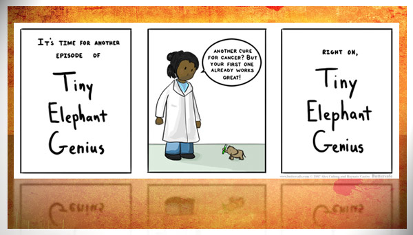tiny elephant genius